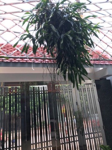 CẦN BÁN NHÀ 2 TẦNG SỐ 68 BẠCH ĐẰNG P MINH KHAI TP HƯNG HƯNG YÊN