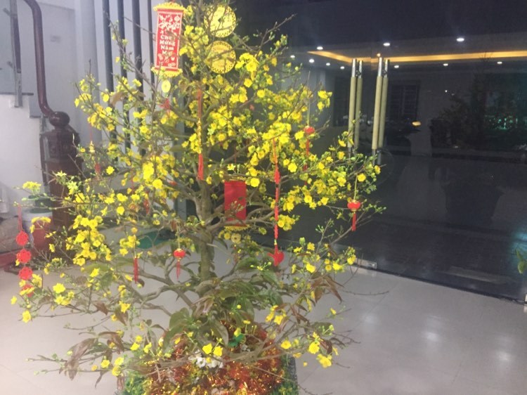 BÁN ĐẤT KHU CỐNG VÂN LIÊN PHƯƠNG TP HƯNG YÊN