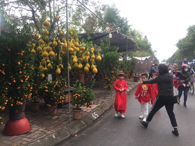 BÁN ĐẤT BIỆT THỰ ĐƯỜNG TÔ CHẤN. P LAM SƠN TP HƯNG YÊN.